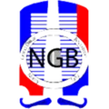 NGB尼亚里塔利